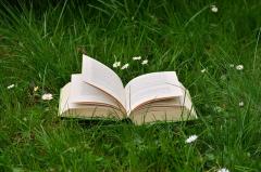 8-15 MAJA 2019 Tydzień Bibliotek