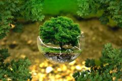 #FORNATURE