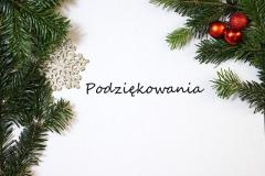 Świąteczny klimat w Nowym Brzesku